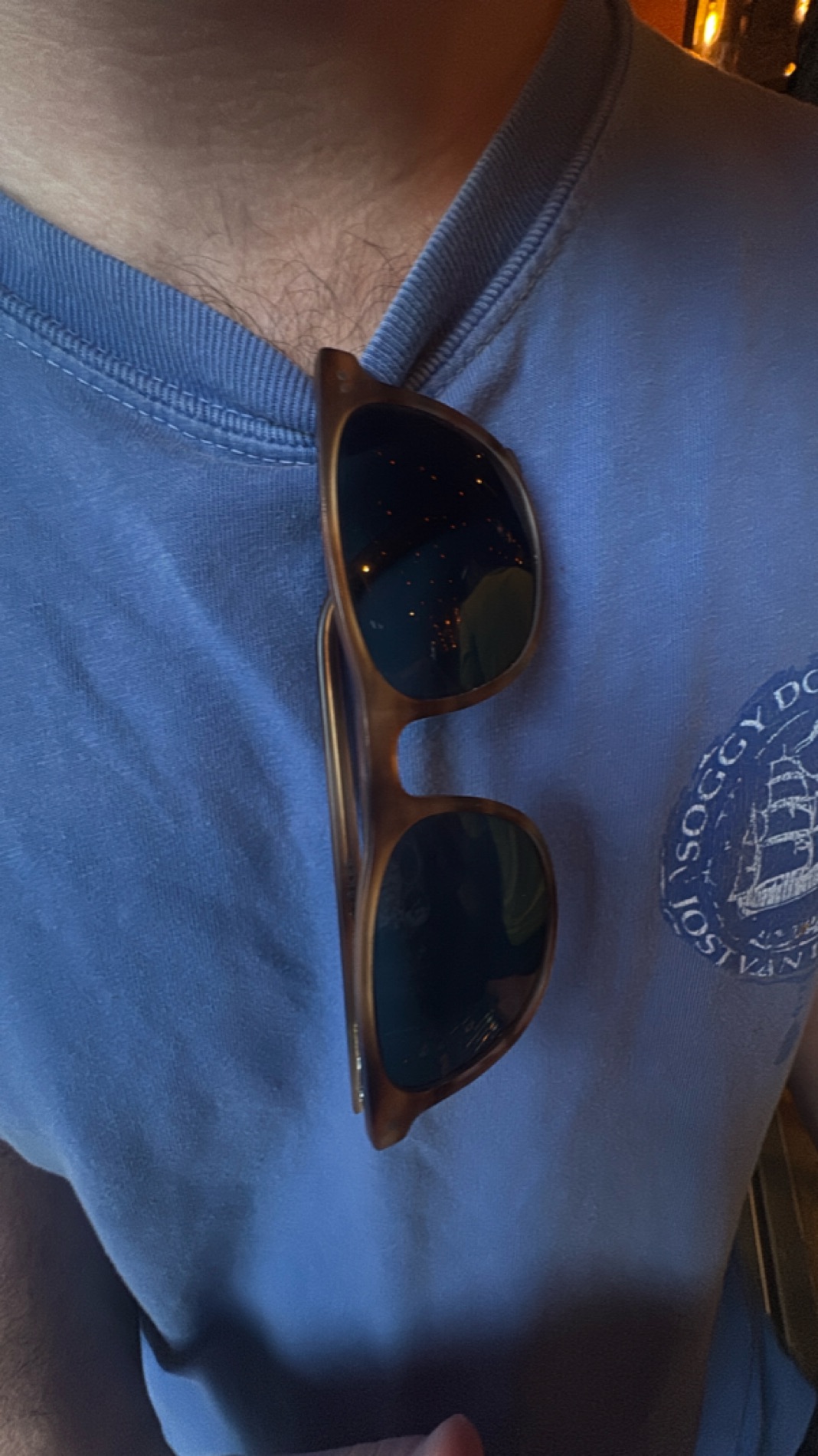 Classic Brown Tortoise Sunglasses with Polarized Lenses