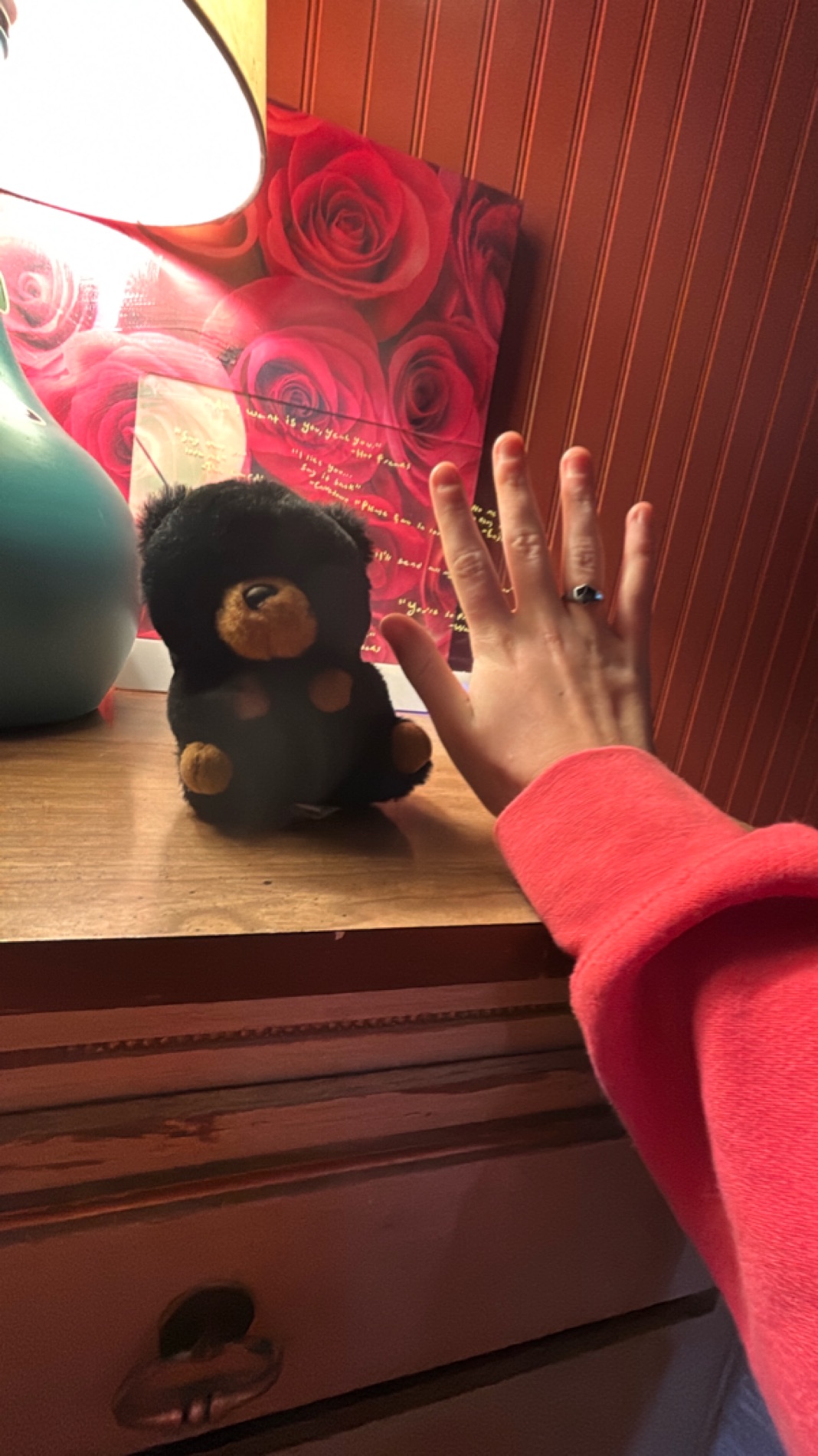 Black Plush Teddy Bear