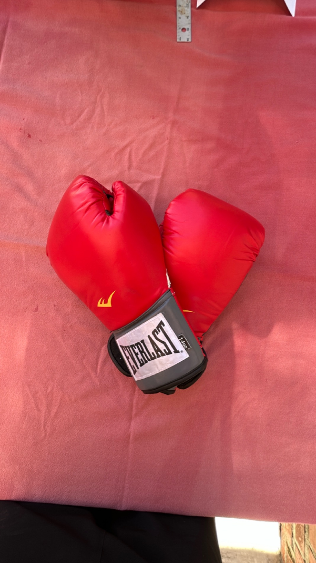 Everlast Red Boxing Gloves