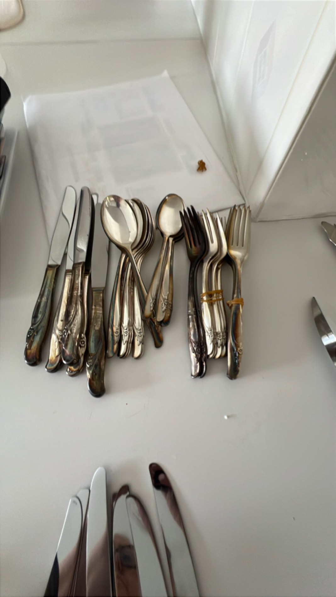Elegant Silverware Set