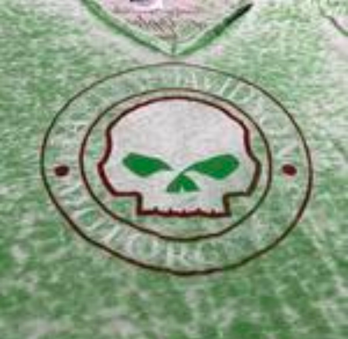 Harley-Davidson Green Acid Wash Women's T-Shirt - Size L photo