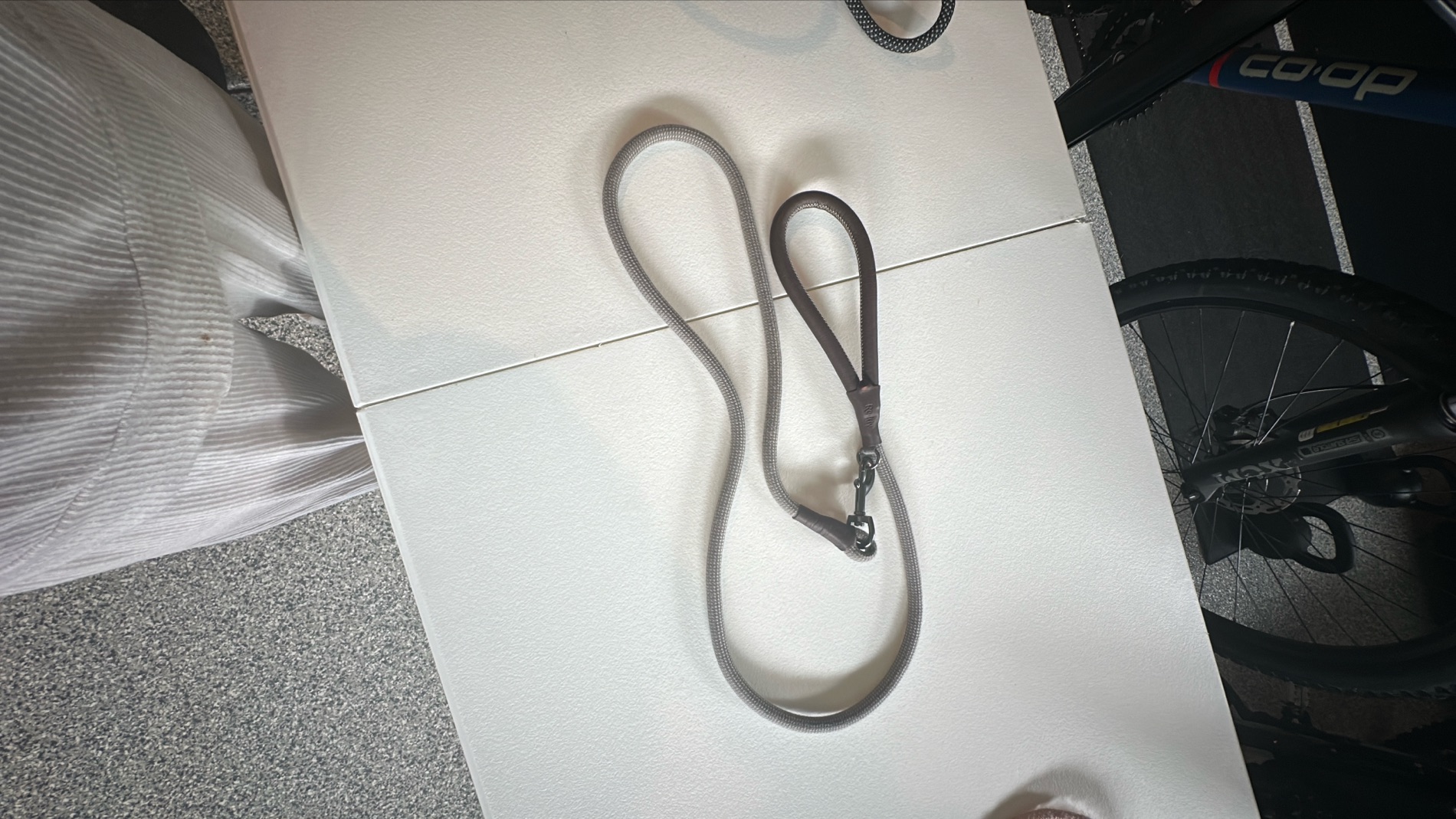 Durable Nylon Dog Leash with Leather Handle