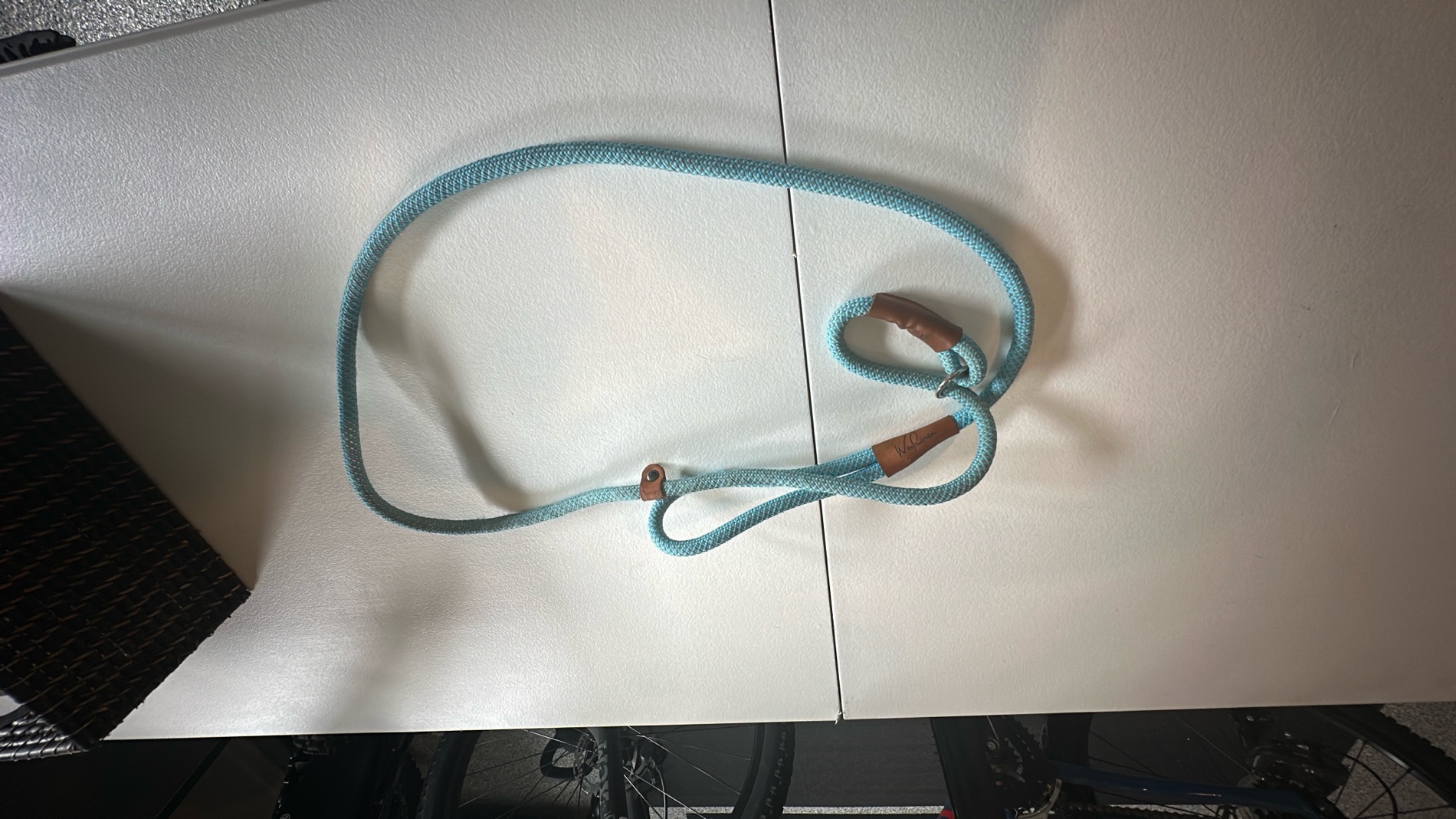 Blue Rope Dog Leash with Leather Accents