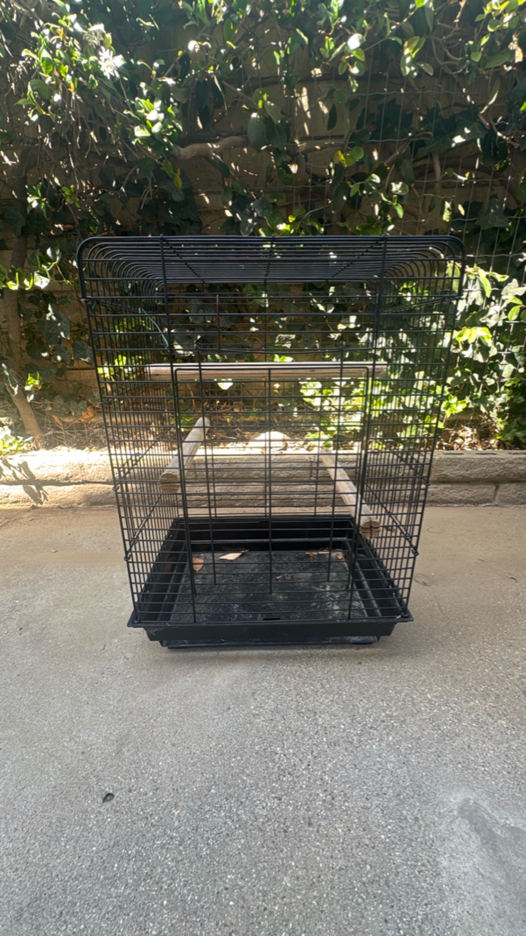 Large Black Bird Cage with Perches