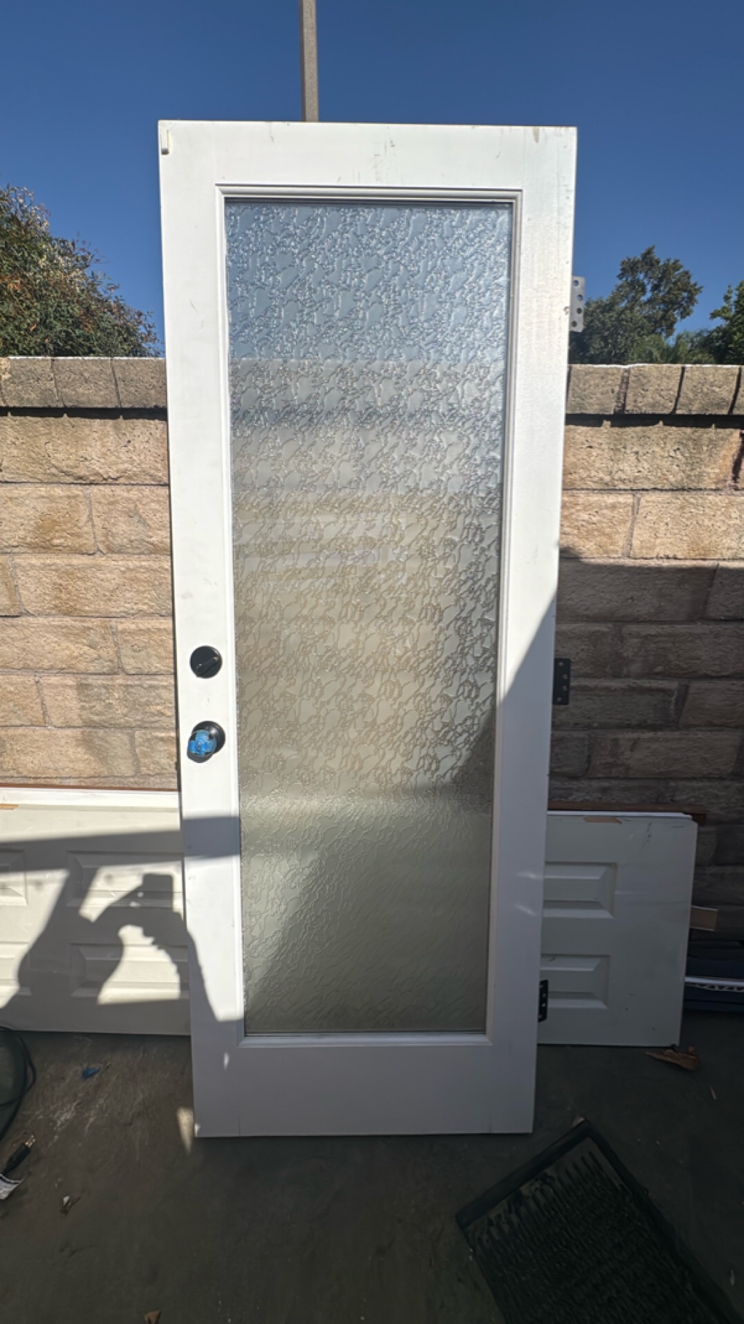 Frosted Glass Exterior Door with White Frame