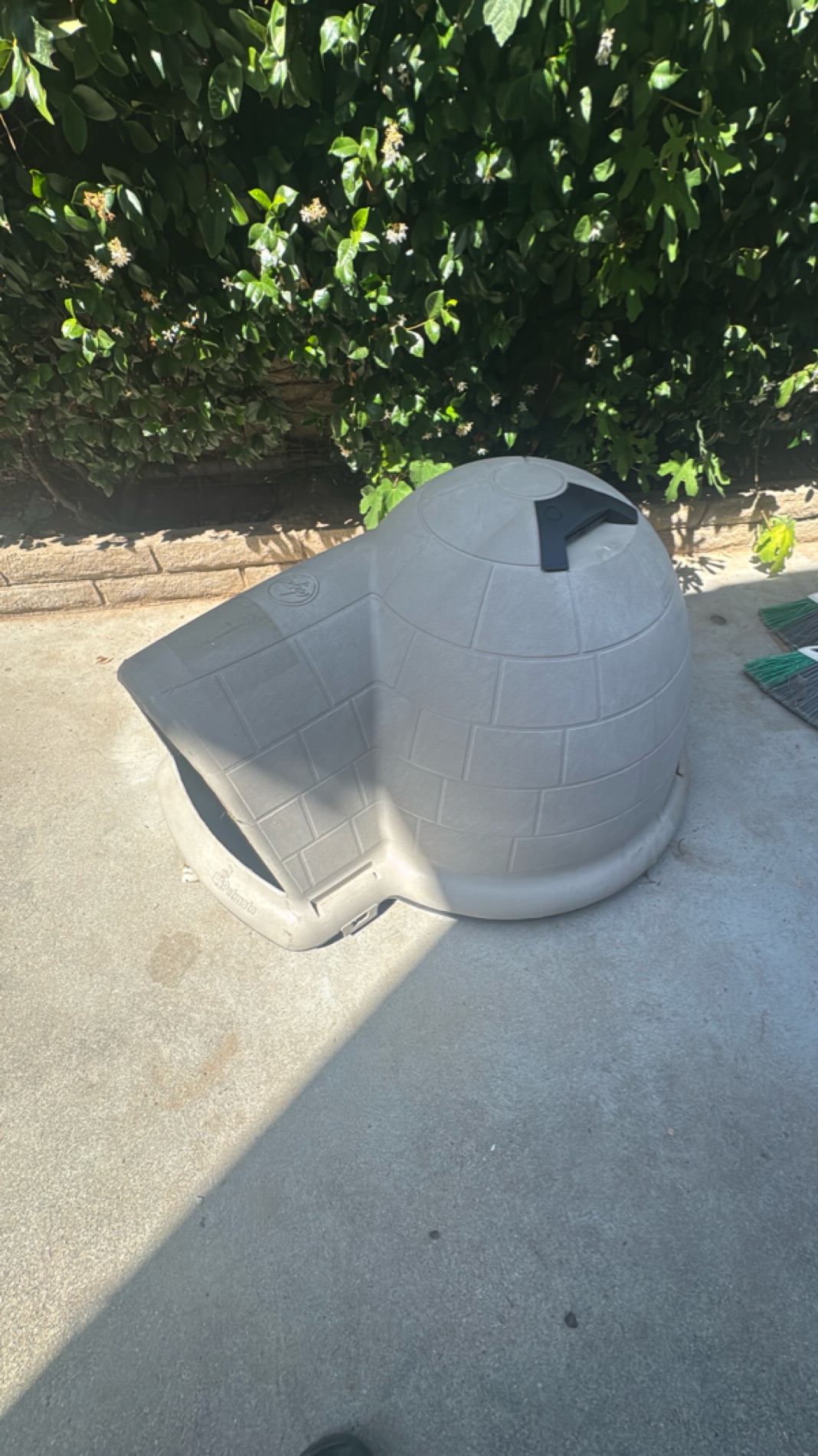 Igloo-Style Durable Plastic Dog House