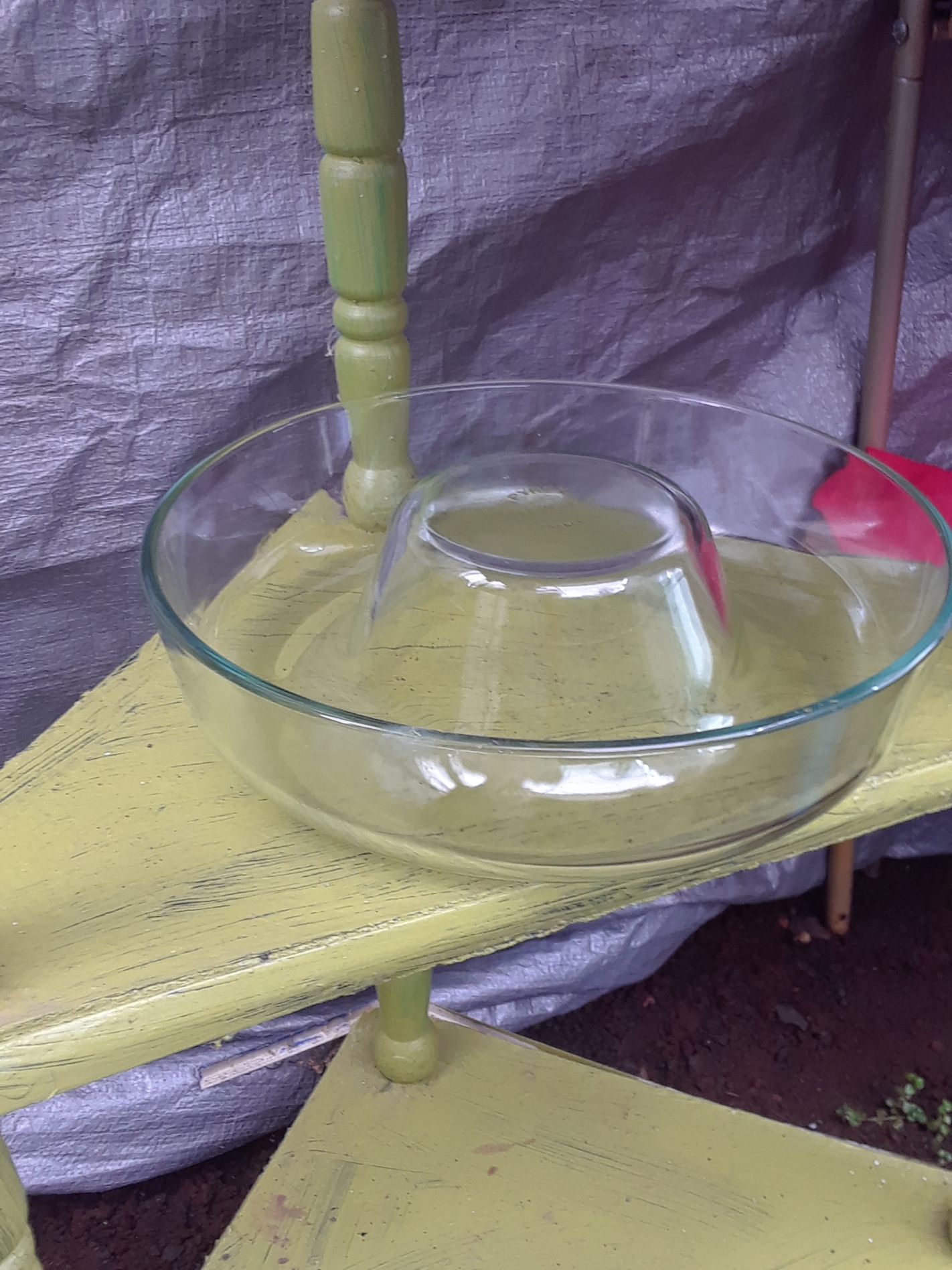 Clear Glass Serving Bowl with Center Compartment