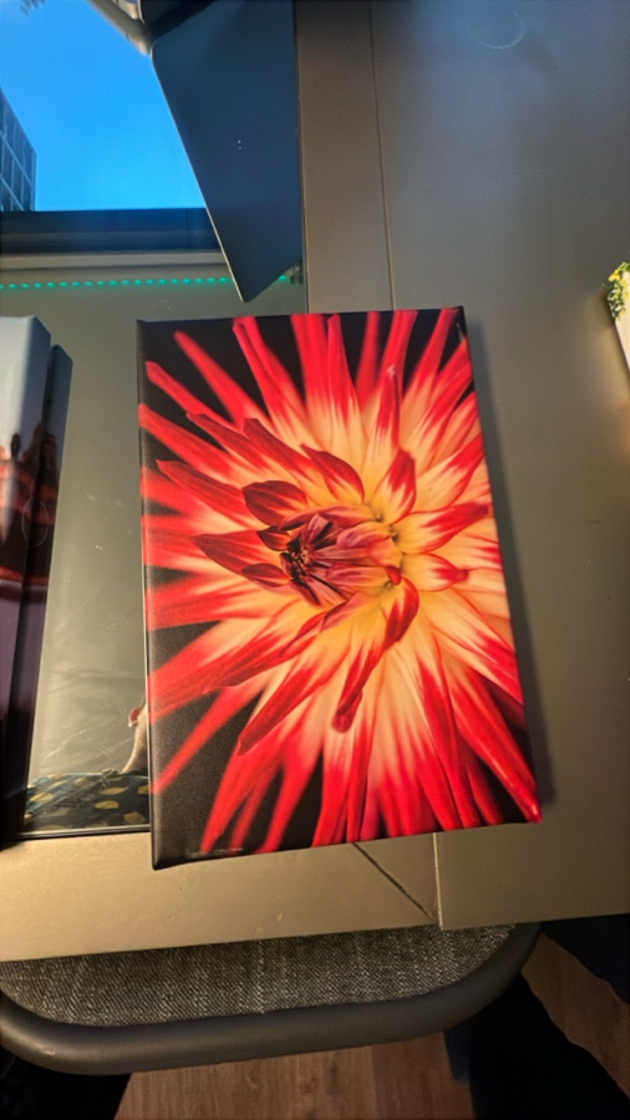 Floral Canvas Wall Art