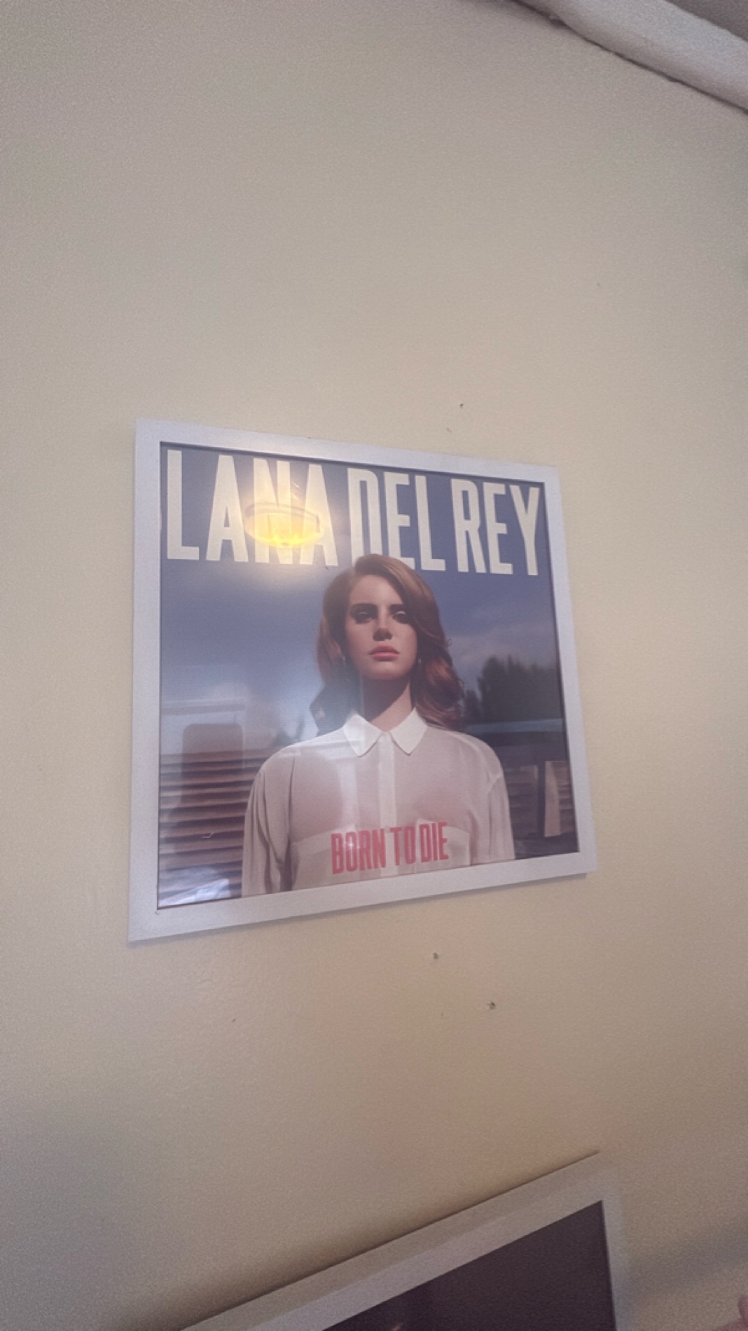 Framed Lana Del Rey 'Born to Die' Album Cover Poster
