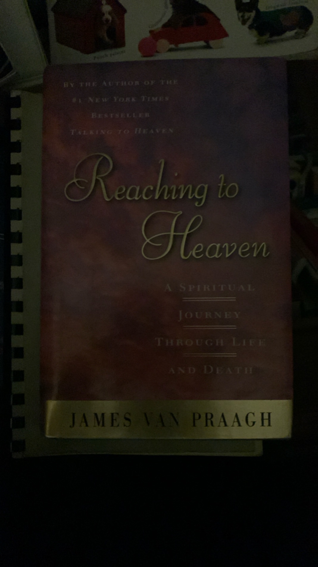 Reaching to Heaven: A Spiritual Journey Through Life and Death