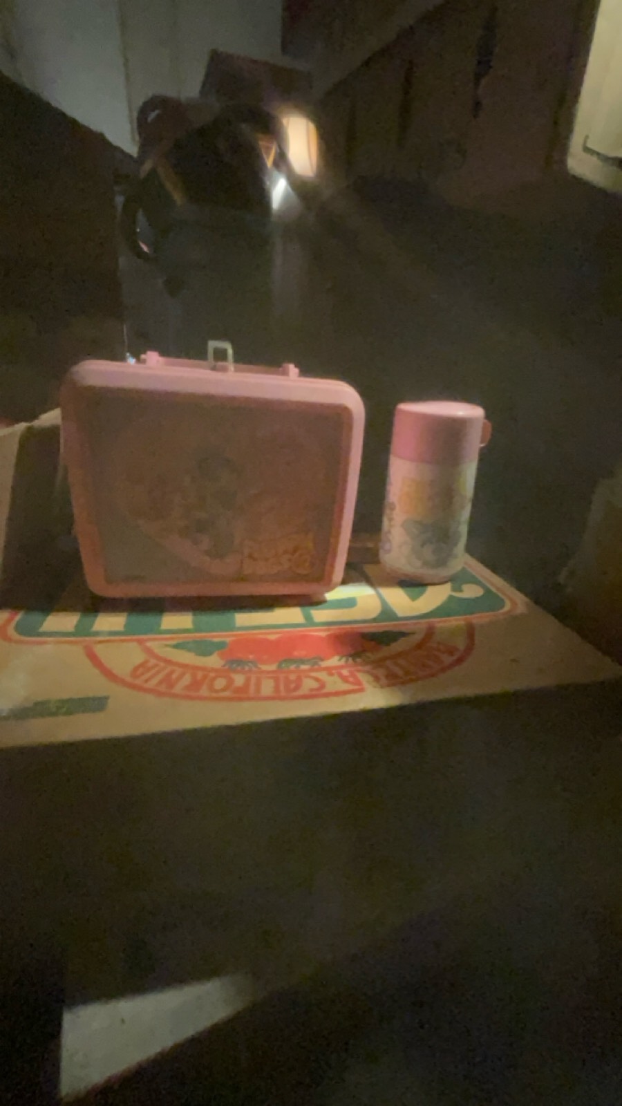 Vintage Pink Lunch Box with Thermos