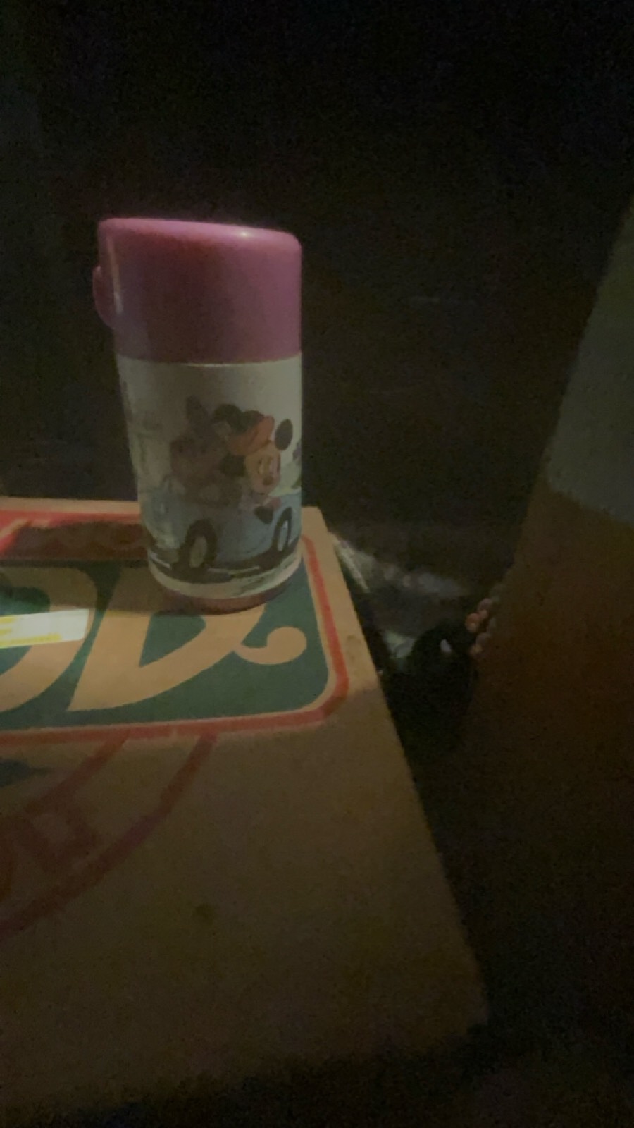 Disney Character Insulated Thermos