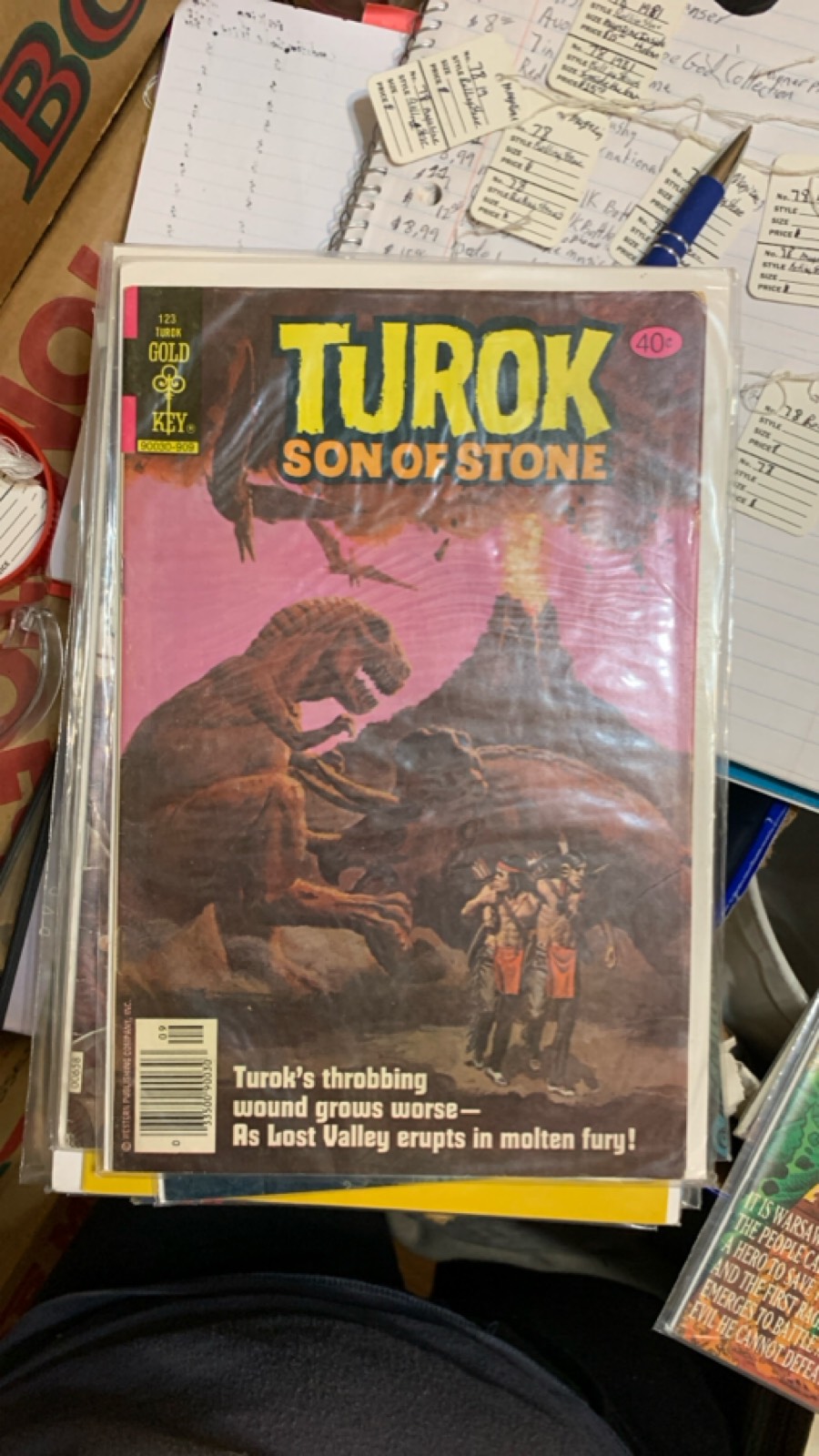 Turok: Son of Stone Comic Issue #123
