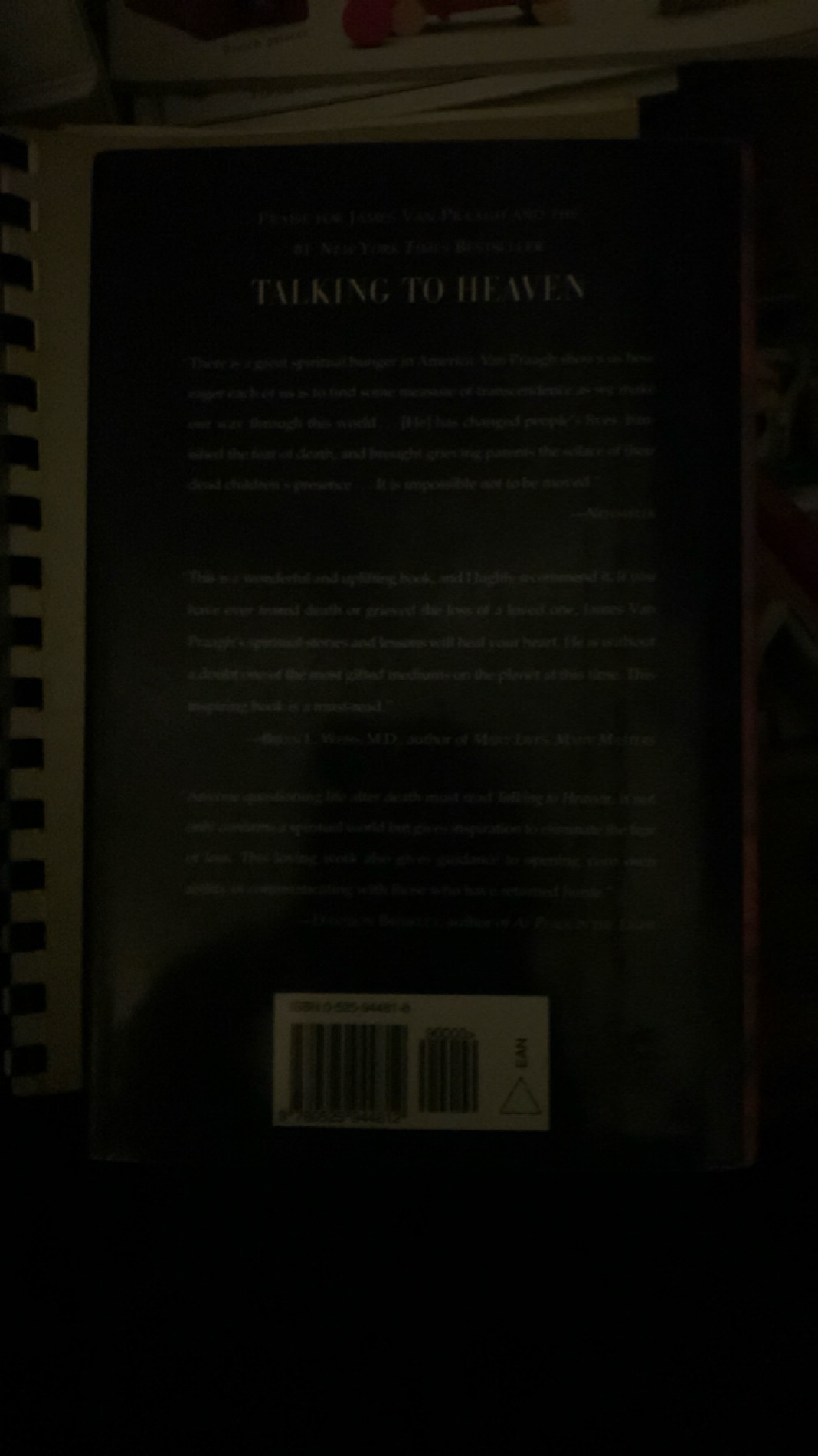 Reaching to Heaven: A Spiritual Journey Through Life and Death photo