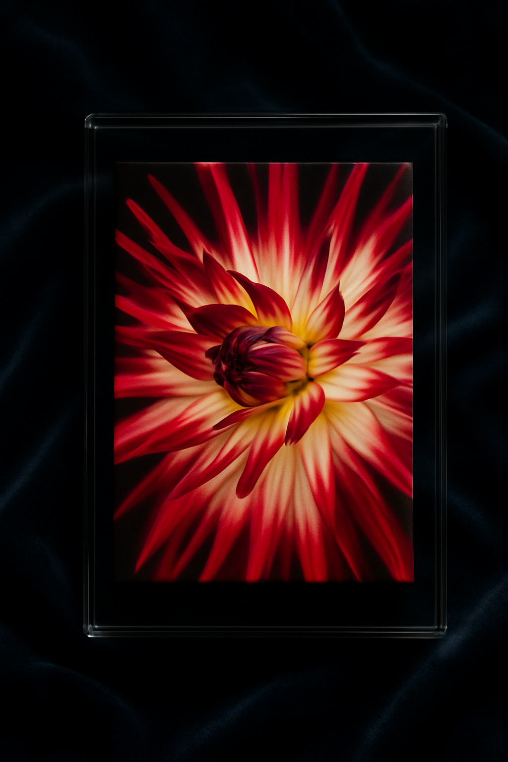 Floral Canvas Art Print