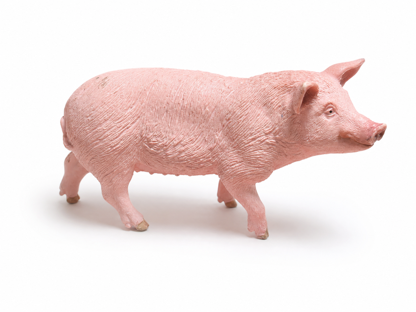 Realistic Pig Figurine photo