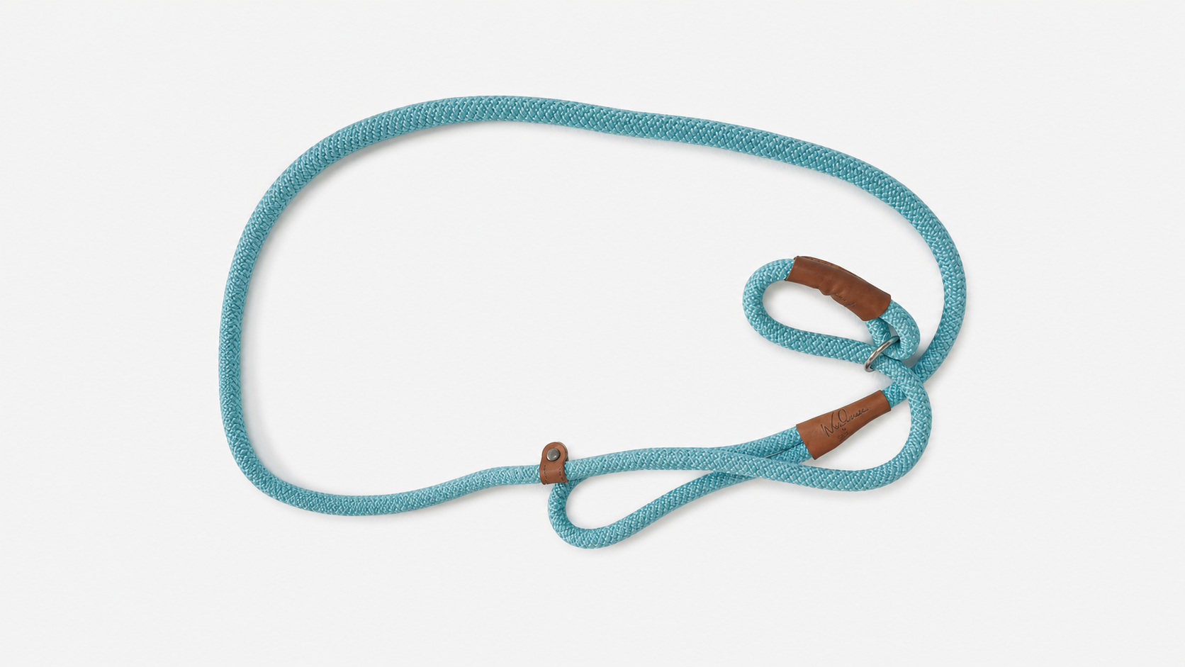 Blue Rope Dog Leash with Leather Accents