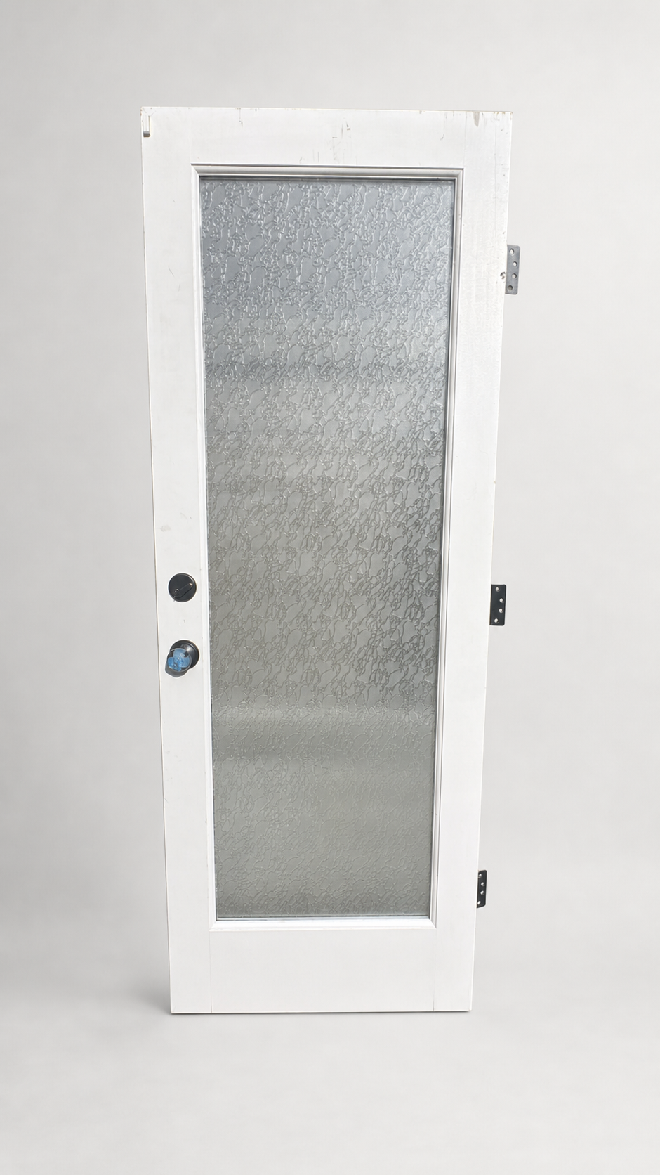 Frosted Glass Exterior Door with White Frame